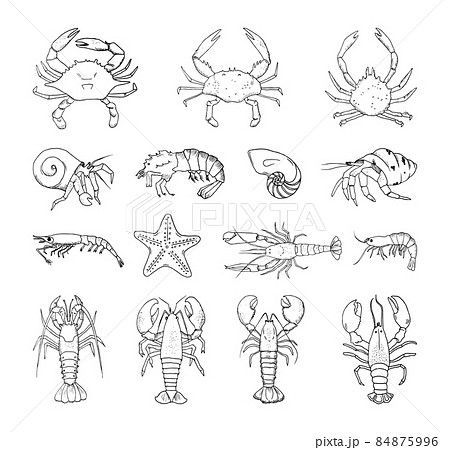 Set of Crustaceans in Art Ink Style 84875996