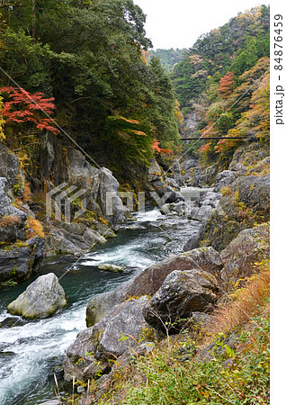 秋の鳩ノ巣渓谷 84876459