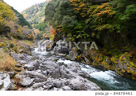 秋の鳩ノ巣渓谷 84876461