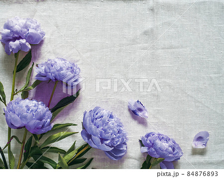 violet peony bouquet on white tablecloth violet peony bouquet on white tablecloth 84876893