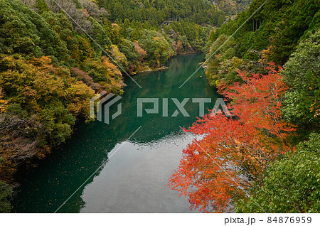 数馬峡橋より白丸湖の紅葉 数馬峡橋より白丸湖の紅葉 84876959