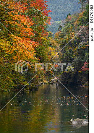 白丸湖の紅葉 84876962