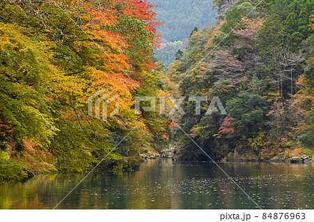 白丸湖の紅葉 白丸湖の紅葉 84876963