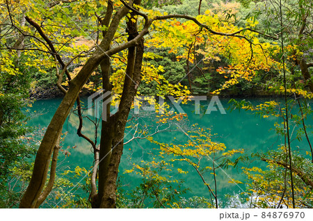 白丸湖の紅葉 84876970