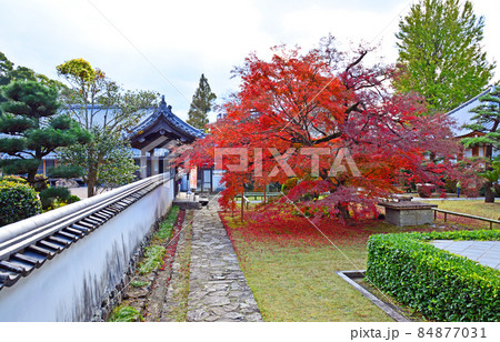 福岡県北九州市にある黄檗宗寺院福聚寺モミジと御成門 福岡県北九州市にある黄檗宗寺院福聚寺モミジと御成門 84877031