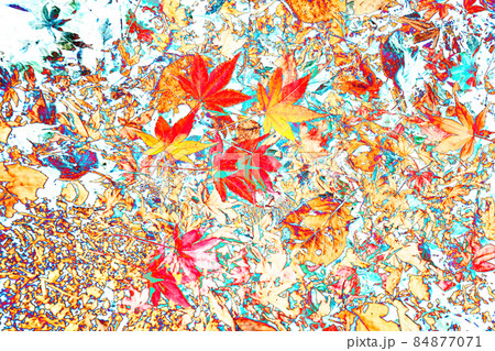 秋イメージ色とりどりの葉っぱ 秋イメージ色とりどりの葉っぱ 84877071