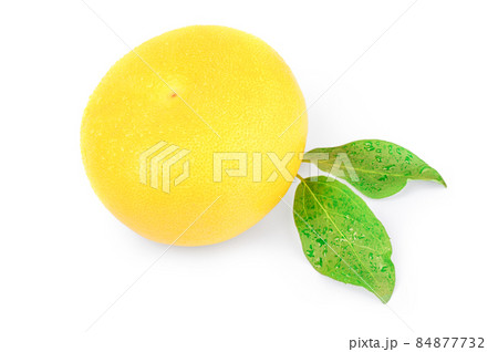 Citrus switty with green leaves on white background Citrus switty with green leaves on white background 84877732