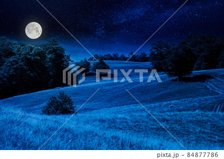 beech trees on the hill at night. empty alpine meadow with dry grass in full moon light. countryside landscape of carpathian mountains in august beech trees on the hill at night. empty alpine meadow with dry grass in full moon light. countryside landscape of carpathian mountains in august 84877786