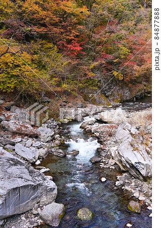 日原街道白妙橋からの紅葉 日原街道白妙橋からの紅葉 84877888
