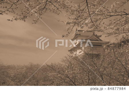【日本100名城】桜咲く津山城の備中櫓（セピア調1）　岡山県津山市 84877984