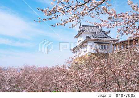 【日本100名城】桜咲く津山城の備中櫓と春の空（ソフトタッチ）　岡山県津山市 84877985