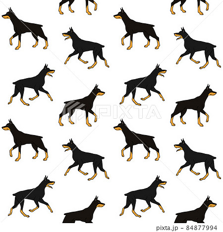 Vector seamless pattern of hand drawn doberman 84877994