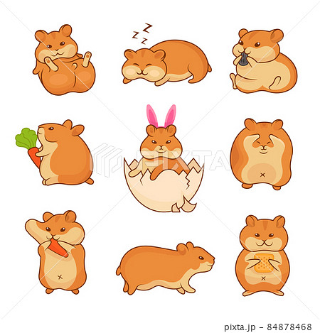 Illustrations of Golden Hamsters 84878468