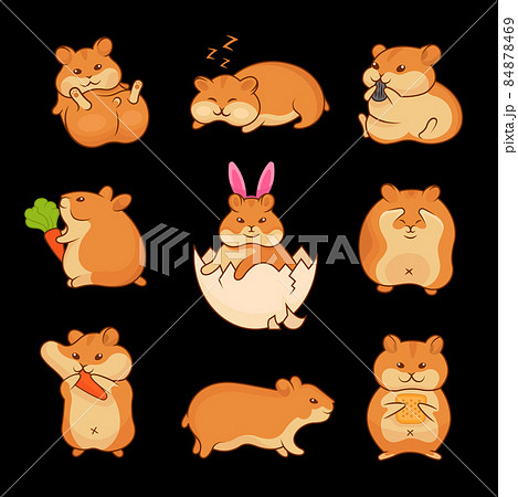Illustrations of Golden Hamsters 84878469