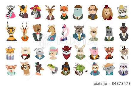 Set of Funny Animal Portraits 84878473