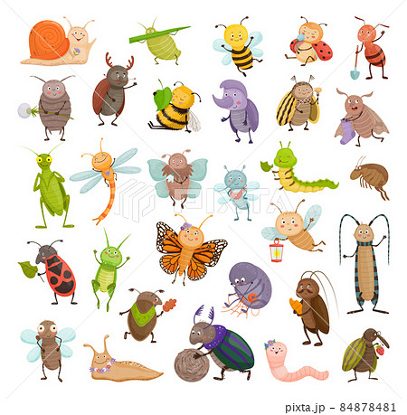 Cute Insect Characters 84878481