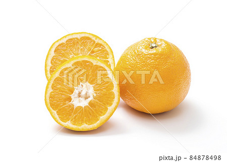 伊予柑　いよかん　イヨカン　果物　サンフルーツ 84878498