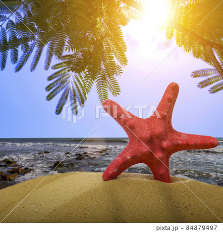 Starfish on the sand against the background of the sea Starfish on the sand against the background of the sea 84879497
