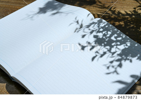 Image photo 84879873