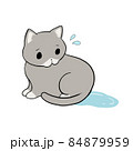 お漏らしをして悲しそうな猫 84879959