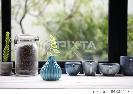 Peperomia plant and coffee cup line up in front of window on wooden table 84880113