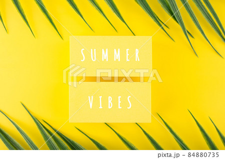 Holiday backdrop with summer vibes inscription on yellow background with palm leaves 84880735