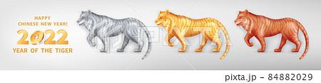 2022 Year of the Tiger 21 2022 Year of the Tiger 21 84882029