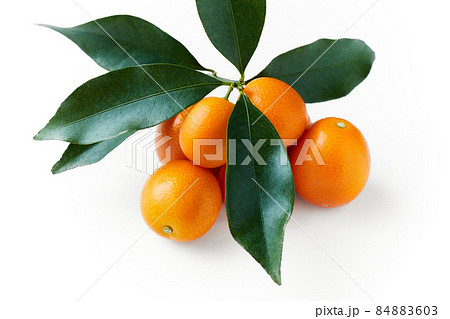 葉付き金柑　白バック　白背景 84883603