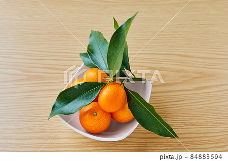 葉付き金柑 葉付き金柑 84883694