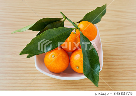 葉付き金柑 84883779