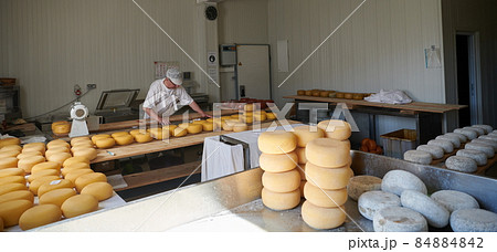 Cheese maker at local production factory 84884842
