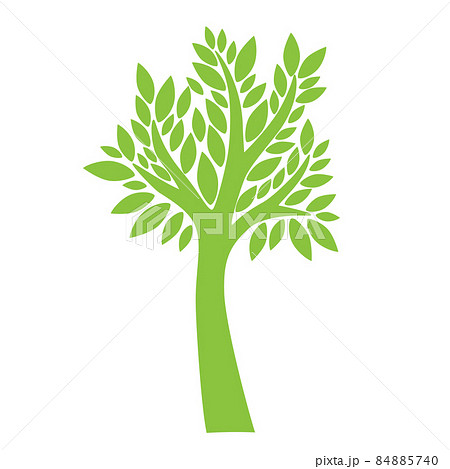 Tree on white background Tree on white background 84885740