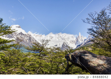 Panoramic picture of Cerro Torre taken from El Chalten hiking trail Panoramic picture of Cerro Torre taken from El Chalten hiking trail 84888042