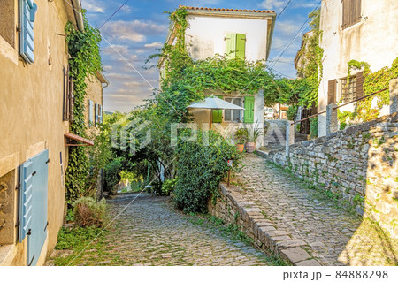Picture of a romantic cobblestone street overgrown with trees and leaves in the medieval town of Motovun in central Istria during the day Picture of a romantic cobblestone street overgrown with trees and leaves in the medieval town of Motovun in central Istria during the day 84888298
