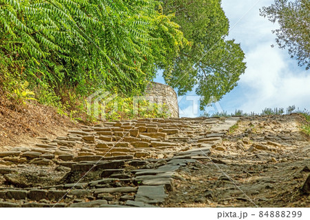 Picture of a romantic cobblestone street overgrown with trees and leaves in the medieval town of Motovun in central Istria during the day Picture of a romantic cobblestone street overgrown with trees and leaves in the medieval town of Motovun in central Istria during the day 84888299