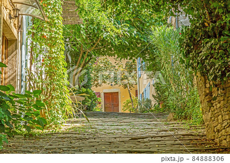 Picture of a romantic cobblestone street overgrown with trees and leaves in the medieval town of Motovun in central Istria during the day Picture of a romantic cobblestone street overgrown with trees and leaves in the medieval town of Motovun in central Istria during the day 84888306