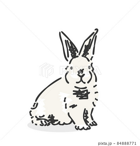 スタイリッシュなウサギのアバター イラストアイコン のイラスト素材