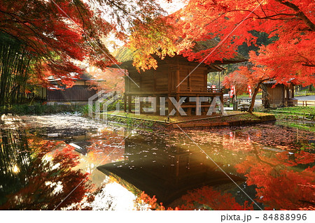 世界遺産　岩手県平泉町　紅葉の中尊寺 84888996