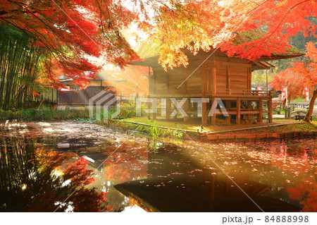 世界遺産 岩手県平泉町 紅葉の中尊寺 世界遺産 岩手県平泉町 紅葉の中尊寺 84888998