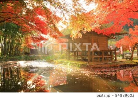 世界遺産　岩手県平泉町　紅葉の中尊寺 84889002