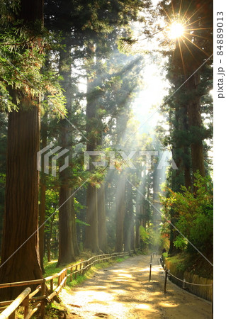 世界遺産　岩手県平泉町　紅葉の中尊寺 84889013