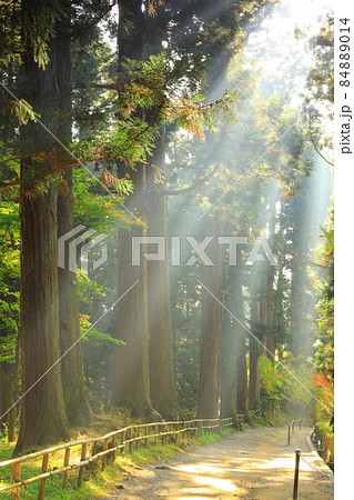 世界遺産 岩手県平泉町 紅葉の中尊寺 世界遺産 岩手県平泉町 紅葉の中尊寺 84889014