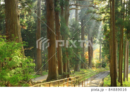 世界遺産 岩手県平泉町 紅葉の中尊寺 世界遺産 岩手県平泉町 紅葉の中尊寺 84889016