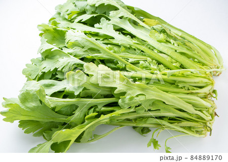 春菊(菊菜)。 春菊(菊菜)。 84889170