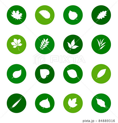 Set of leaf icons on color backgrounds, vector illustration 84889316