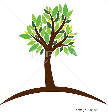 Tree on white background with green leaves Tree on white background with green leaves 84889368