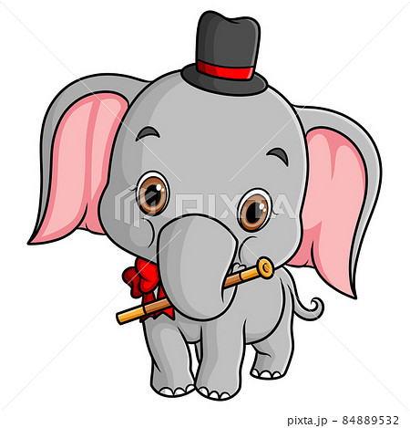 The Baby Elephant Is Doing The Circus And のイラスト素材