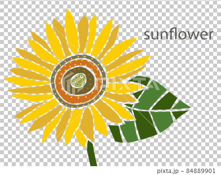Sunflower flower Sunflower flower 84889901