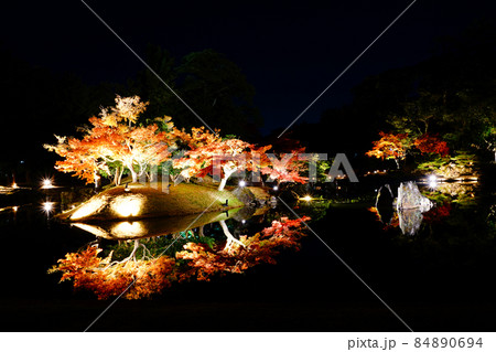 玄宮園 国の特別史跡 鶴鳴渚 紅葉ライトアップ 玄宮園 国の特別史跡 鶴鳴渚 紅葉ライトアップ 84890694