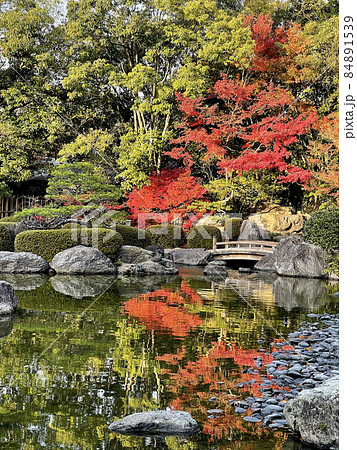 福岡県福岡市中央区大濠公園 大濠公園日本庭園 紅葉 福岡県福岡市中央区大濠公園 大濠公園日本庭園 紅葉 84891539
